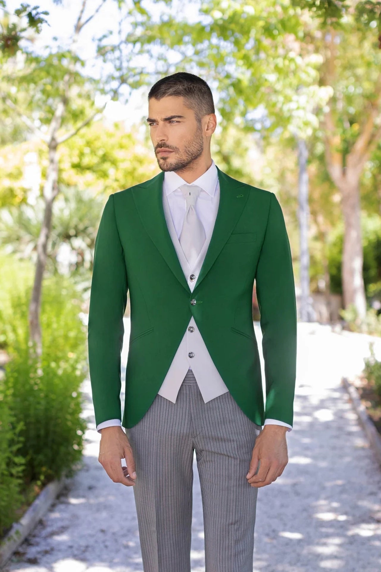 SCRIBANO_DA244S26P50