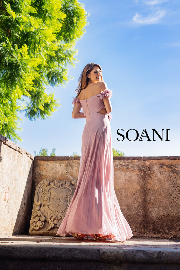 SOANI 202306